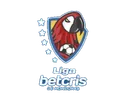 Liga Nacional