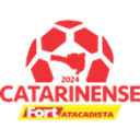 Catarinense - 1