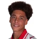 A. Witsel 사진