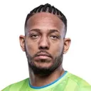 Wellington Tanque 사진