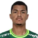 Pedro Felipe 사진