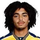 Tiago Brito 사진