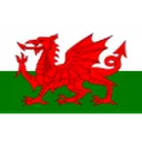 Wales U19 로고