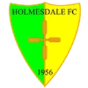 Holmesdale 로고