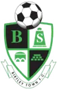 Birtley Town 로고