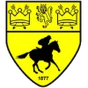 Newmarket 로고