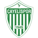 Çayelispor 로고