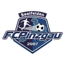 Pinzgau Saalfelden