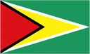 Guyana 로고