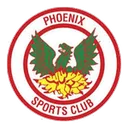 Phoenix Sports 로고