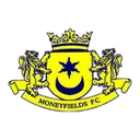 Moneyfields 로고