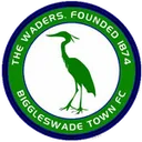 Biggleswade Town 로고