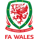 Wales U21 로고