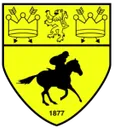 Newmarket Town 로고