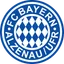 Bayern Alzenau