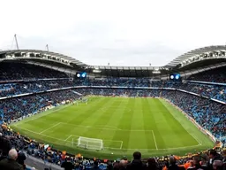 Etihad Stadium 경기장