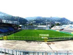 Stadio Giuseppe Sinigaglia 경기장